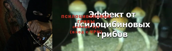 MESCALINE Ельня